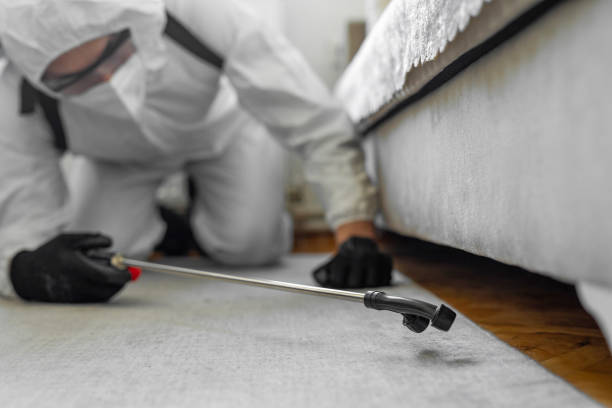 Professional Bed Bug Control technician working in Myersville, MD