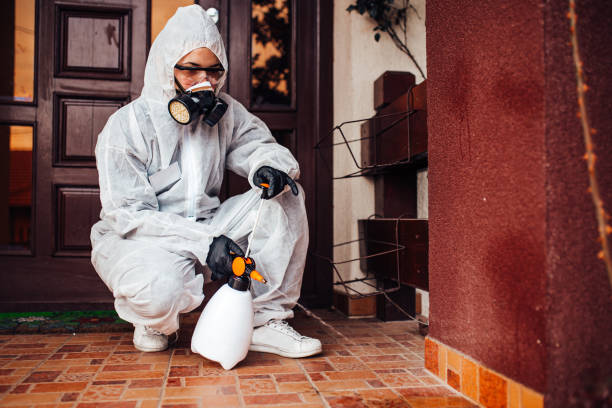 Reliable Bed Bug Control contractor in Myersville, MD by Nex Pest Control